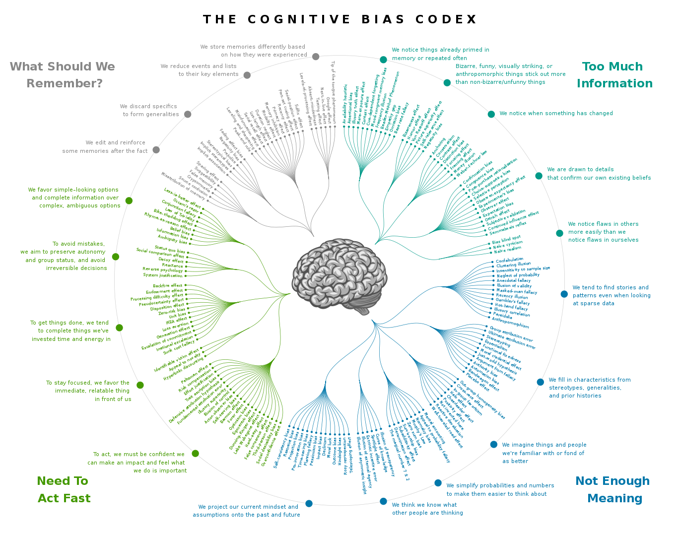 bias cognitivi esempi