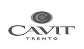 Logo Cavit